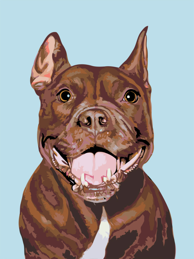 Raqamlar bo&amp;#039;yicha rasm &amp;quot;Kuchuk rasmi&amp;quot;