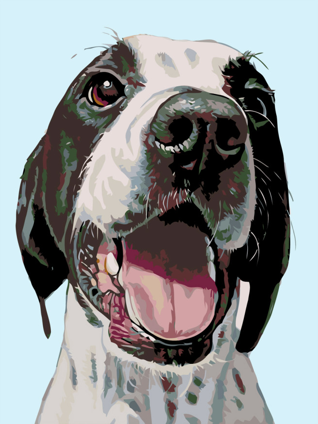 Raqamlar bo&amp;#039;yicha rasm &amp;quot;Kuchuk rasmi&amp;quot;