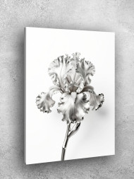 Постер на холсте &amp;quot;Серебряный ирис&amp;quot;