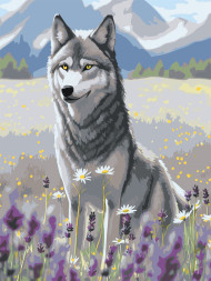 Картина по номерам &amp;quot;Волк в поле&amp;quot;