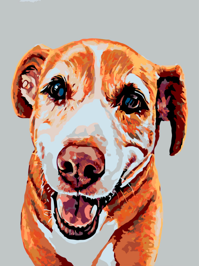 Raqamlar bo&amp;#039;yicha rasm &amp;quot;Kuchuk rasmi&amp;quot;