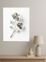 Постер на холсте &amp;quot;Серебряные анемоны&amp;quot;