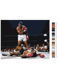 Картина по номерам &amp;quot;Боксёры&amp;quot;