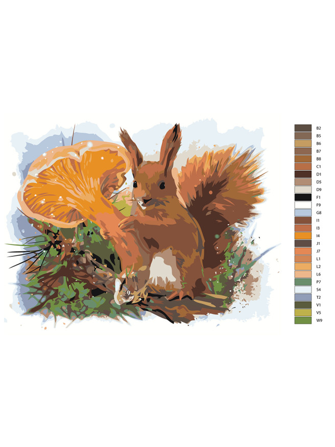 Raqamlar bo&amp;#039;yicha rasm &amp;quot;Qo&amp;#039;ziqorinli sincap&amp;quot;