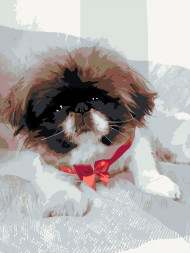 Raqamlar bo&#039;yicha rasm &quot;Yoqimtoy kuchukcha&quot;