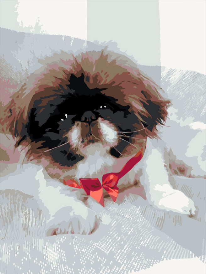 Raqamlar bo&amp;#039;yicha rasm &amp;quot;Yoqimtoy kuchukcha&amp;quot;