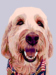 Raqamlar bo&#039;yicha rasm &quot;Kuchuk rasmi&quot;