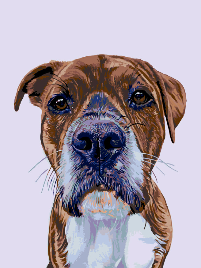 Картина по номерам &amp;quot;Портрет собаки&amp;quot;