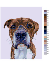 Raqamlar bo&#039;yicha rasm &quot;Kuchuk rasmi&quot;