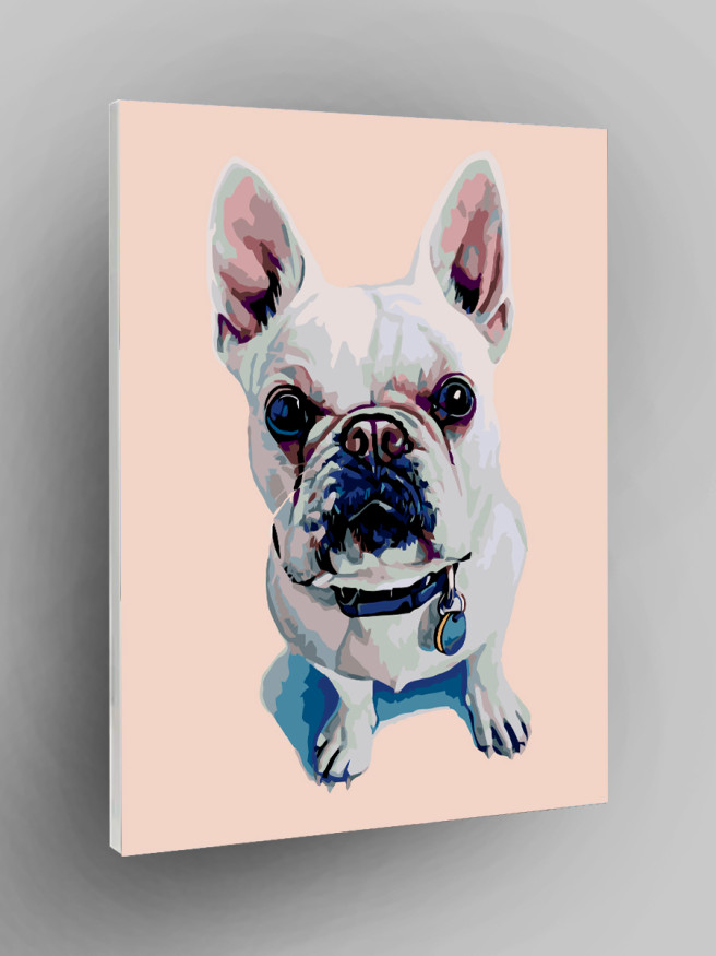 Raqamlar bo&amp;#039;yicha rasm &amp;quot;Kuchuk rasmi&amp;quot;