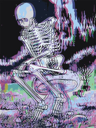 Картина по номерам &amp;quot;Скелет на грибе&amp;quot;