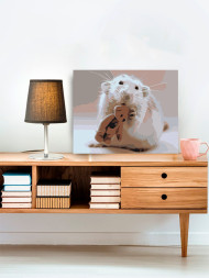 Raqamlar bo'yicha rasm "Ayiqcha bilan sichqoncha"