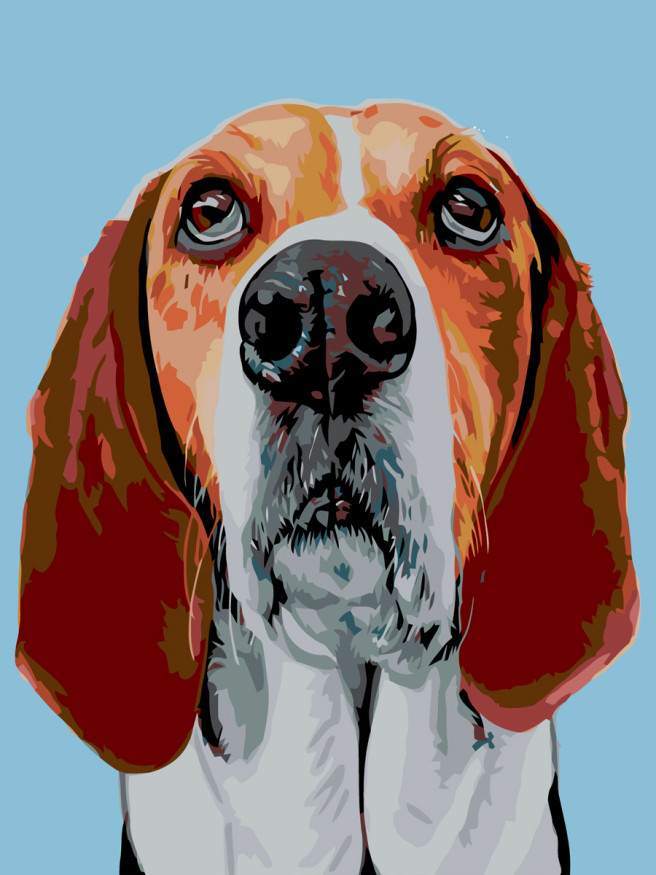 Raqamlar bo&amp;#039;yicha rasm &amp;quot;Kuchuk rasmi&amp;quot;