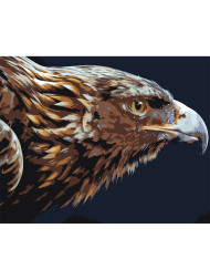 Raqamlar bo&#039;yicha rasm &quot;Burgut&quot;