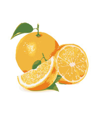 Raqamlar bo&#039;yicha rasm &quot;Limonlar&quot;