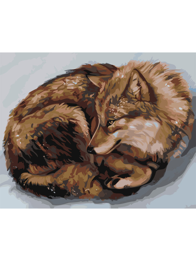 Картина по номерам &amp;quot;Рыжий волк&amp;quot;