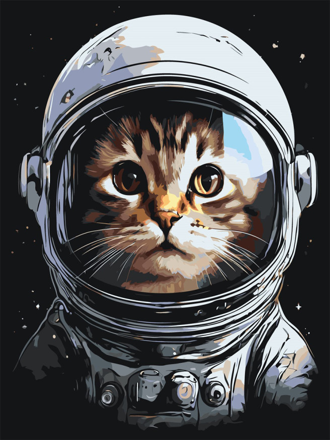 Raqamlar bo&amp;#039;yicha rasm &amp;quot;Mushuk kosmonavti&amp;quot;