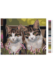 Картина по номерам &amp;quot;Пара котиков&amp;quot;