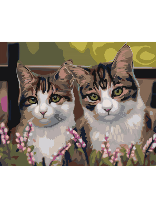 Raqamlar bo&amp;#039;yicha rasm &amp;quot;Bir juft mushuk&amp;quot;